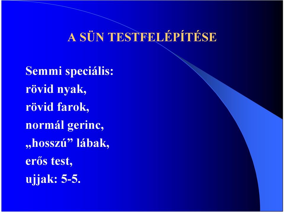 farok, normál gerinc, hosszú