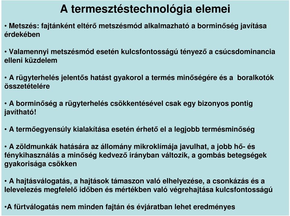 A termőegyensúly kialakítása esetén érhető el a legjobb termésminőség A zöldmunkák hatására az állomány mikroklímája javulhat, a jobb hő- és fénykihasználás a minőség kedvező irányban változik, a