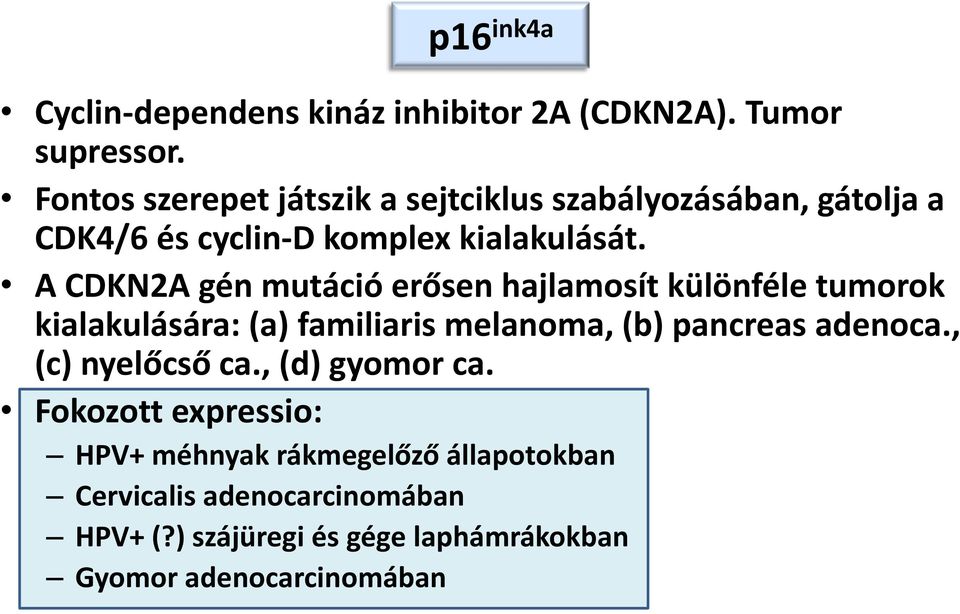 A CDKN2A gén mutáció erősen hajlamosít különféle tumorok kialakulására: (a) familiaris melanoma, (b) pancreas adenoca.