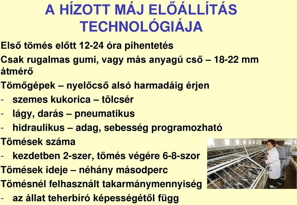 pneumatikus - hidraulikus adag, sebesség programozható Tömések száma - kezdetben 2-szer, tömés végére