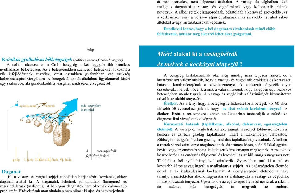 Rendkívül fontos, hogy a bél daganatos elváltozásait minél előbb felfedezzük, amikor még sikerrel lehet őket gyógyítani.