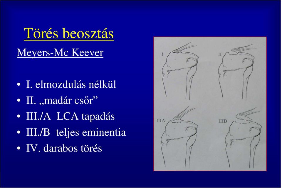 madár csőr III.