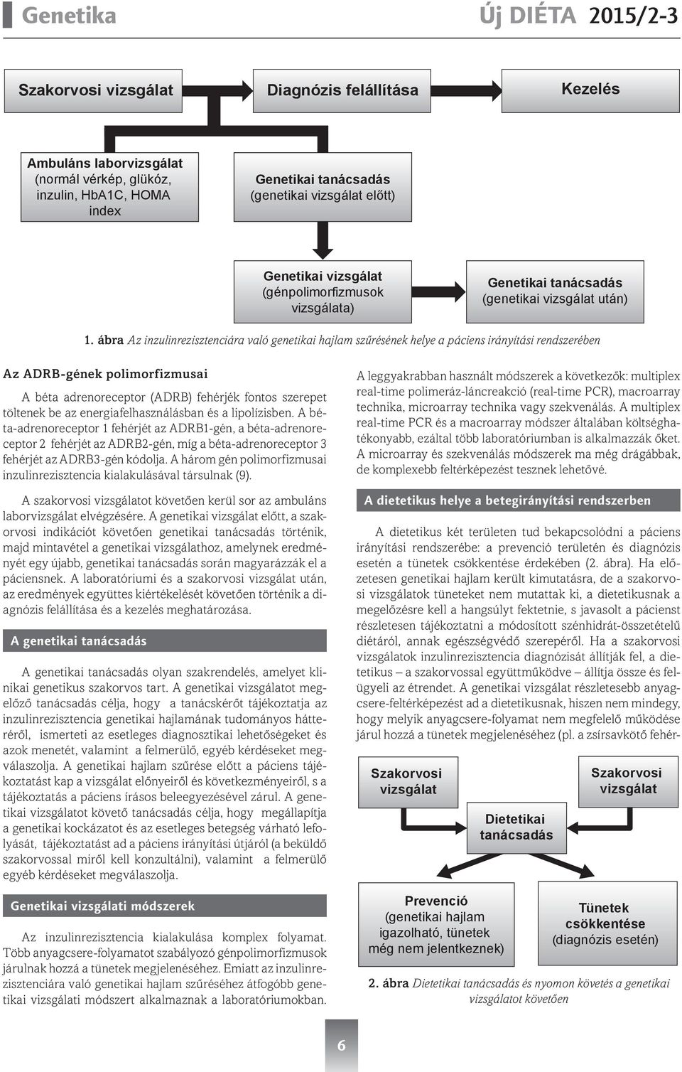 ábra Az inzulinrezisztenciára való genetikai hajlam szűrésének helye a páciens irányítási rendszerében Az ADRB-gének polimorfizmusai A béta adrenoreceptor (ADRB) fehérjék fontos szerepet töltenek be