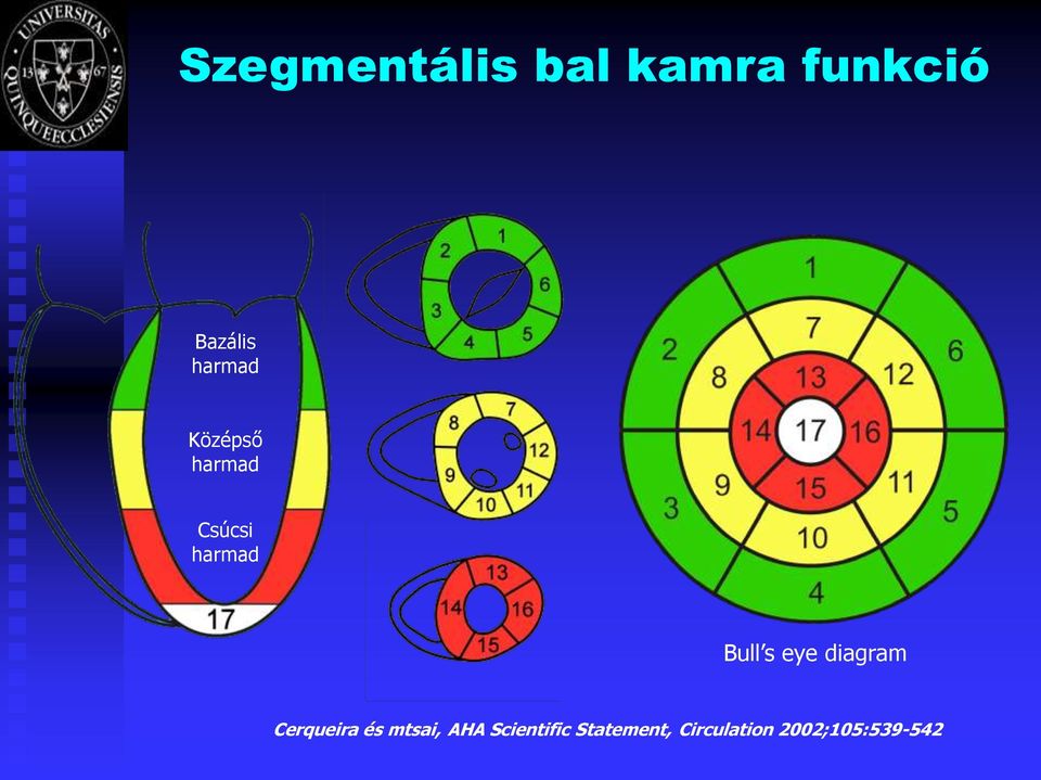 s eye diagram Cerqueira és mtsai, AHA