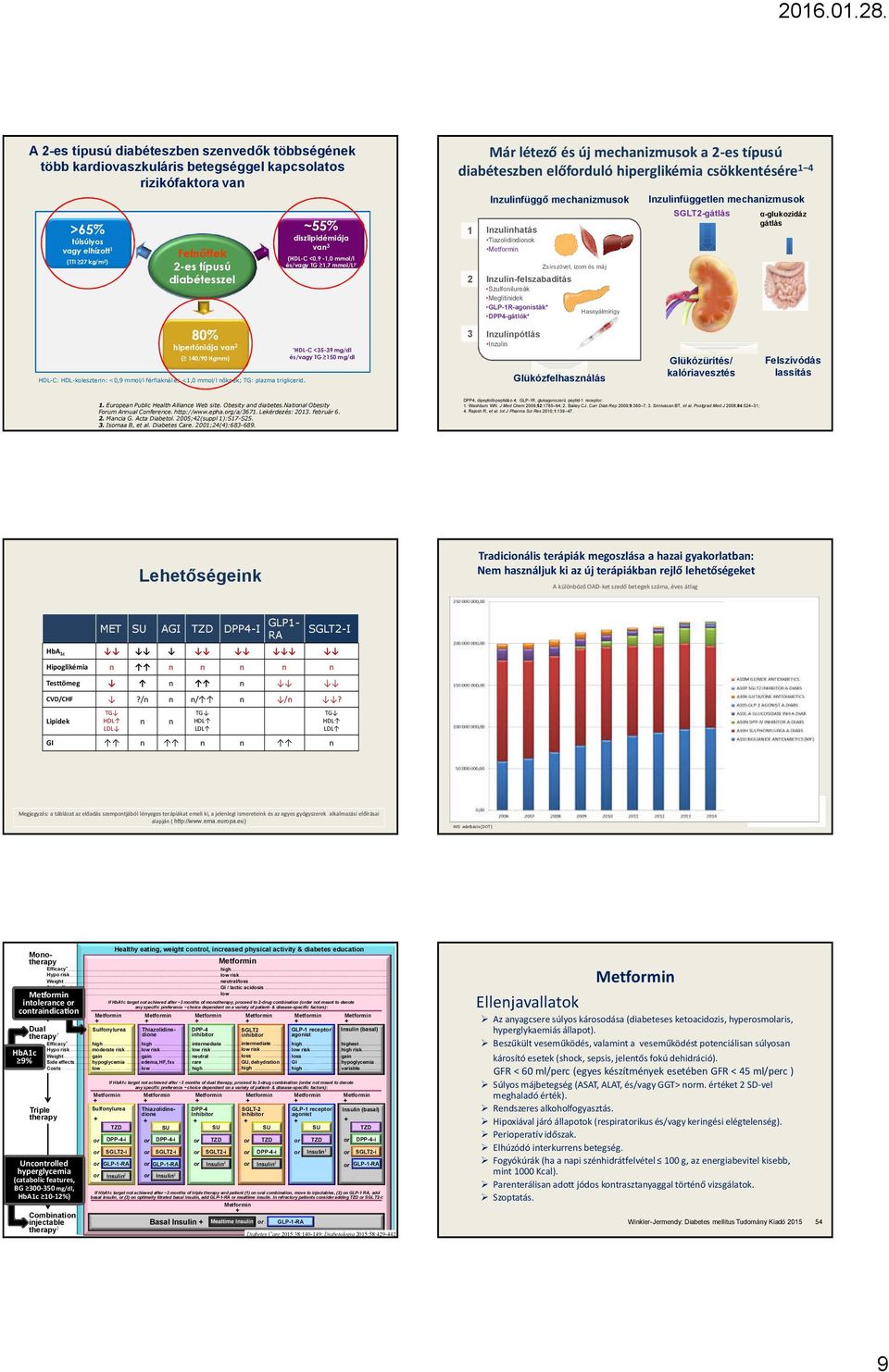 ~55% diszlipidémiája van 3 (HDL-C <0,9-1,0 mmol/l és/vagy TG 1,7 mmol/l )* *HDL-C <35-39 mg/dl és/vagy TG 150 mg/dl Már létező és új mechanizmusok a 2-es típusú diabéteszben előfduló hiperglikémia