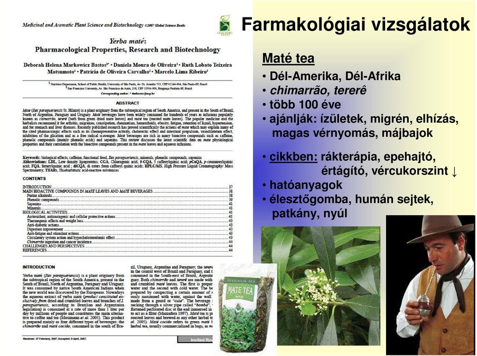 elhízás, magas vérnyomás, májbajok cikkben: rákterápia, epehajtó,