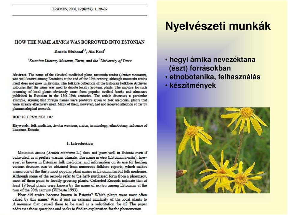forrásokban etnobotanika,