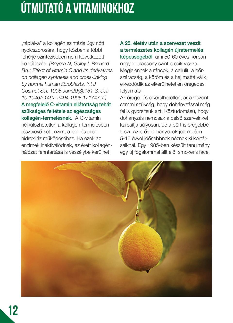 ) A megfelelő C-vitamin ellátottság tehát szükséges feltétele az egészséges kollagén-termelésnek.