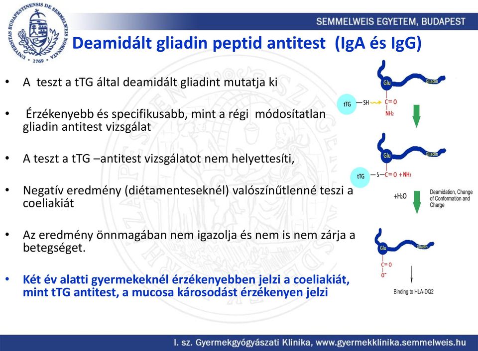 Negatív eredmény (diétamenteseknél) valószínűtlenné teszi a coeliakiát Az eredmény önnmagában nem igazolja és nem is nem