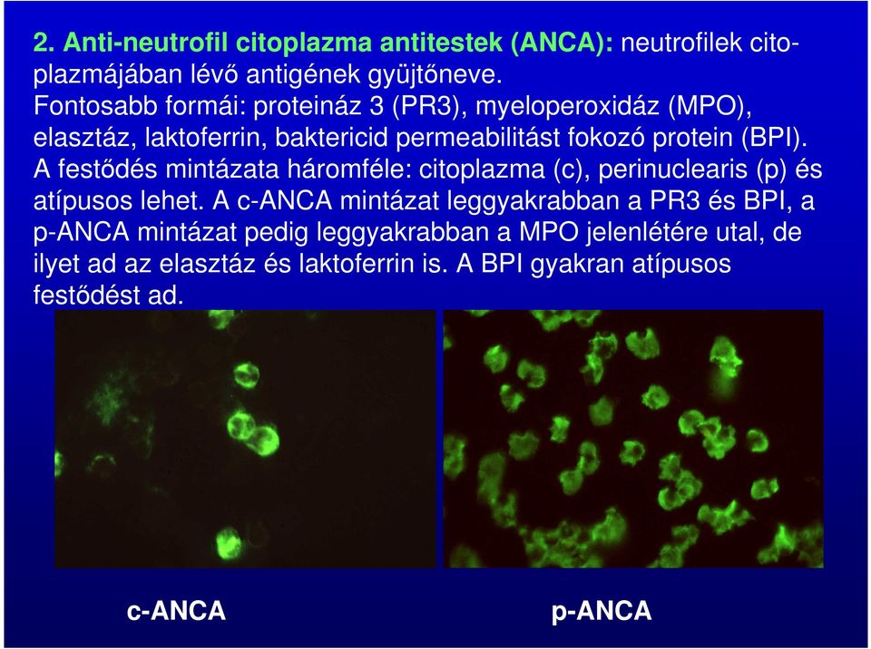 A festődés mintázata háromféle: citoplazma (c), perinuclearis (p) és atípusos lehet.