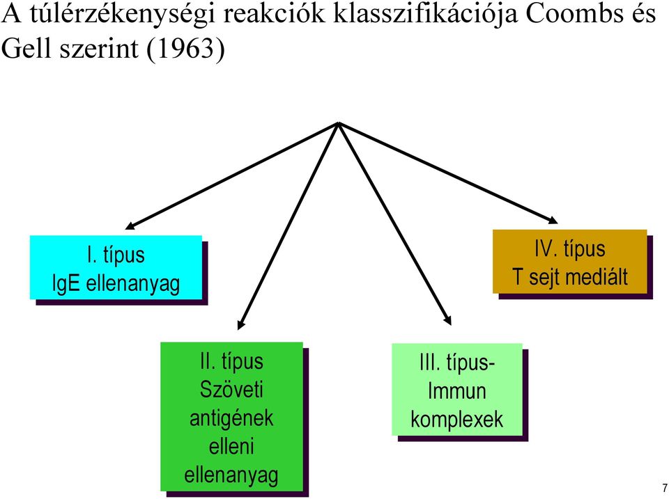 IV. típus T sejt mediált II.