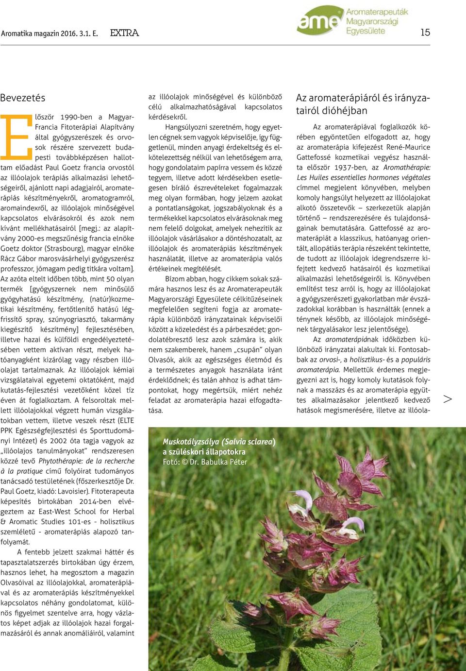 orvostól az illóolajok terápiás alkalmazási lehetőségeiről, ajánlott napi adagjairól, aromaterápiás készítményekről, aromatogramról, aromaindexről, az illóolajok minőségével kapcsolatos elvárásokról
