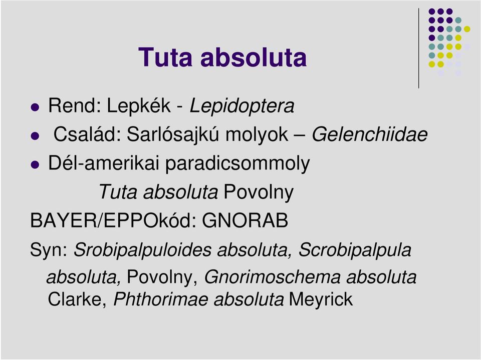 BAYER/EPPOkód: GNORAB Syn: Srobipalpuloides absoluta, Scrobipalpula