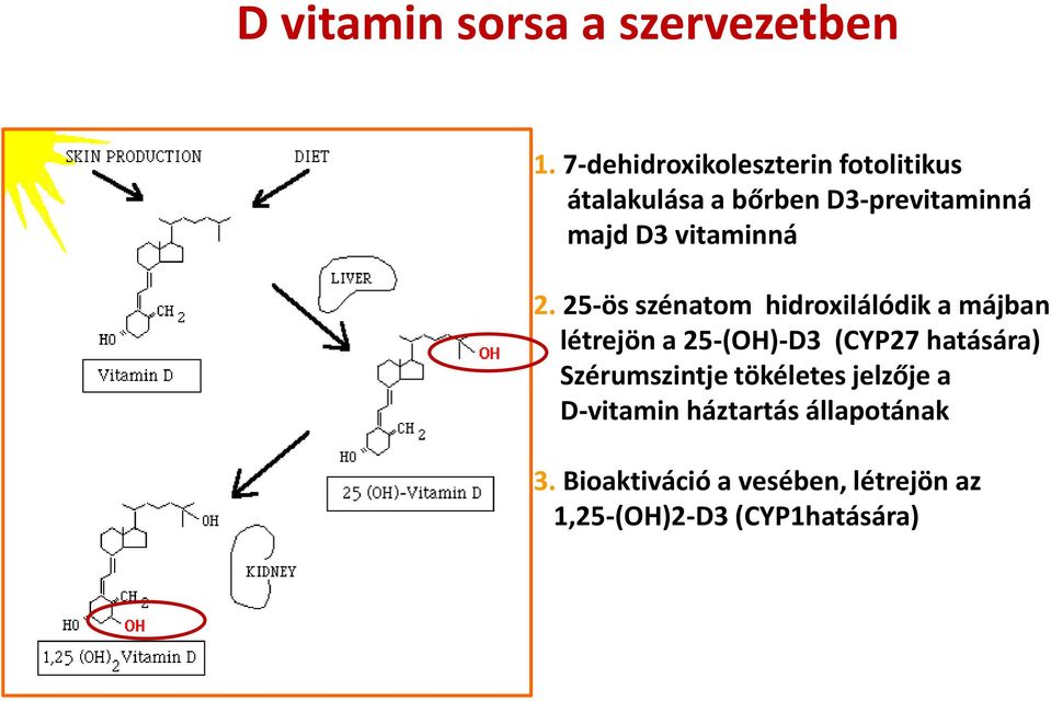 vitaminná 2.