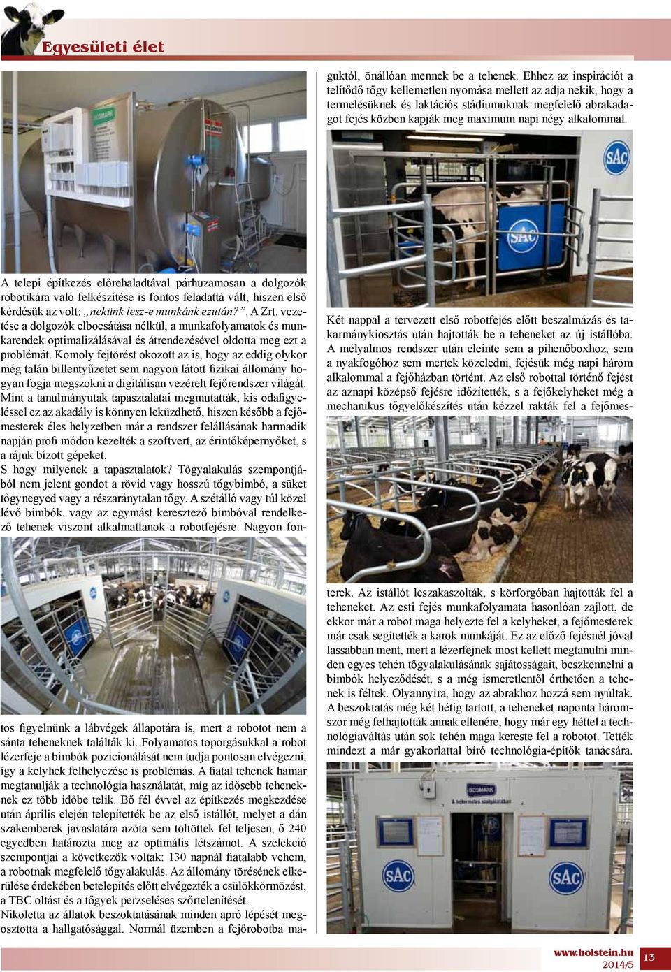 A fiatal tehenek hamar megtanulják a technológia használatát, míg az idősebb teheneknek ez több időbe telik.