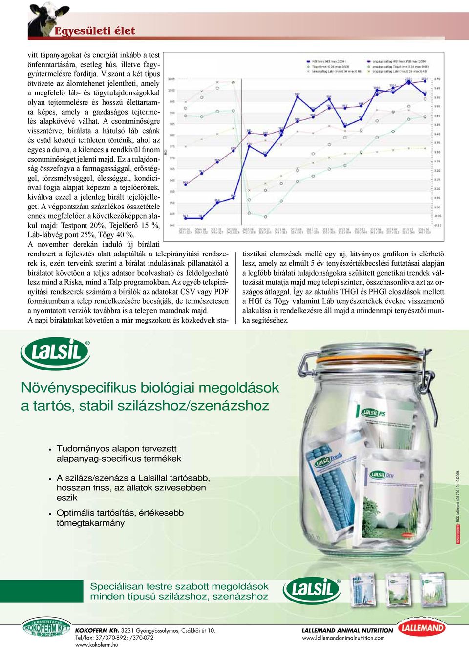 válhat. A csontminőségre visszatérve, bírálata a hátulsó láb csánk és csüd közötti területen történik, ahol az egyes a durva, a kilences a rendkívül finom csontminőséget jelenti majd.