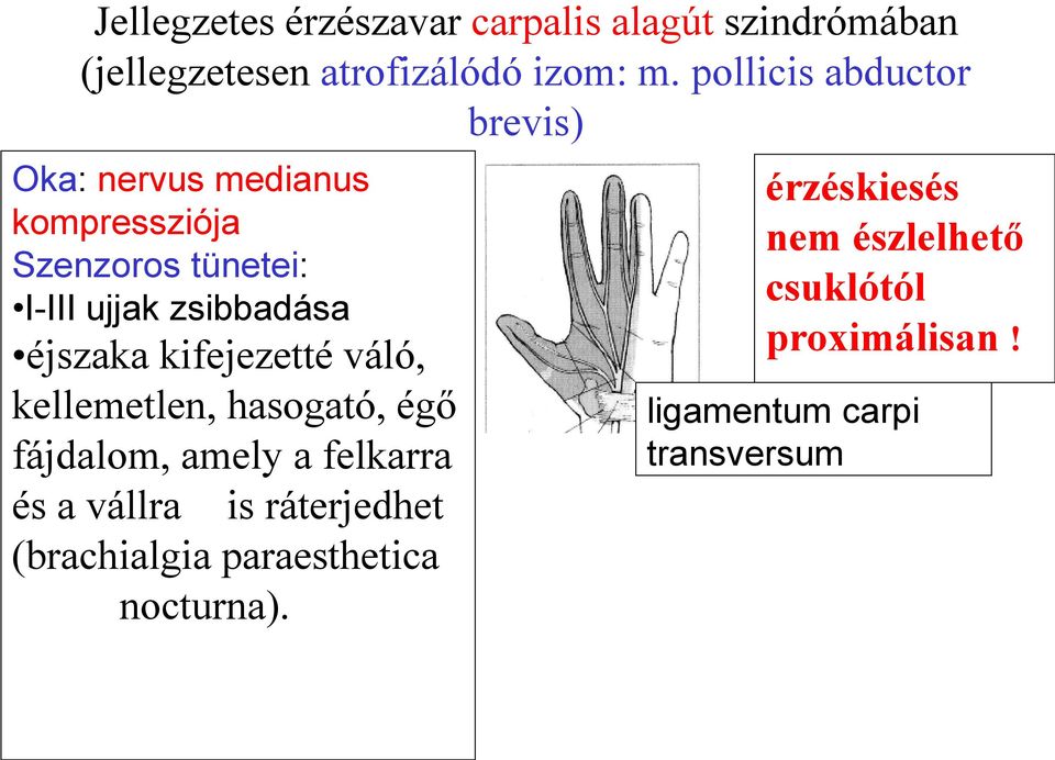 éjszaka kifejezetté váló, kellemetlen, hasogató, égő fájdalom, amely a felkarra és a vállra is