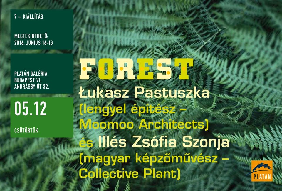 05.12 csütörtök FOREST Lukasz Pastuszka (lengyel építész