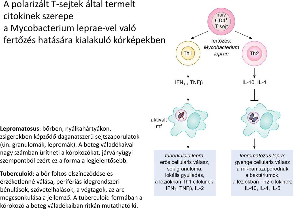 A beteg váladékaival nagy számban ürítheti a kórokozókat, járványügyi szempontból ezért ez a forma a legjelentősebb.