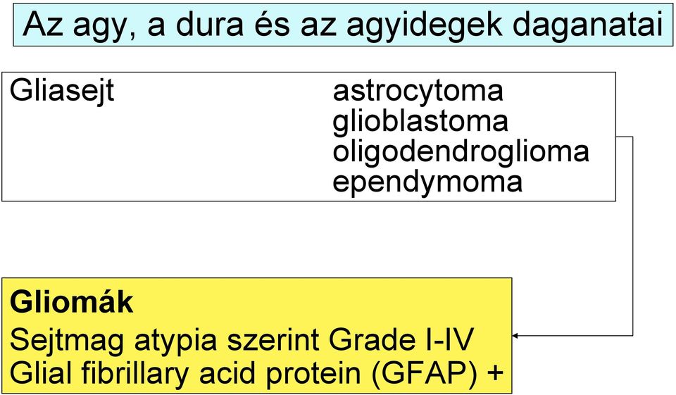 oligodendroglioma ependymoma Gliomák Sejtmag