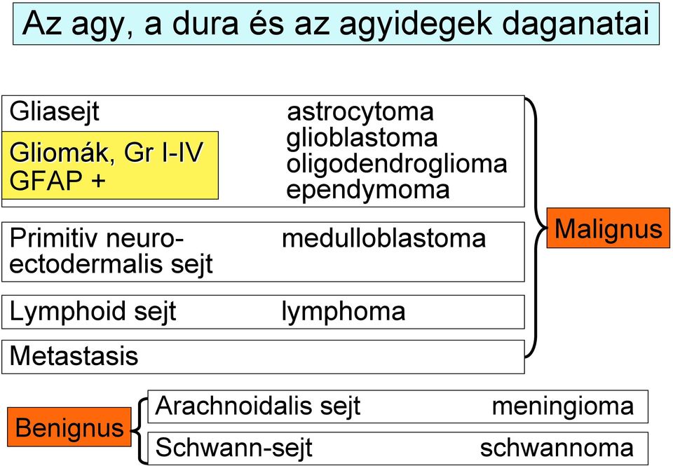 Primitiv neuroectodermalis sejt medulloblastoma Lymphoid sejt lymphoma