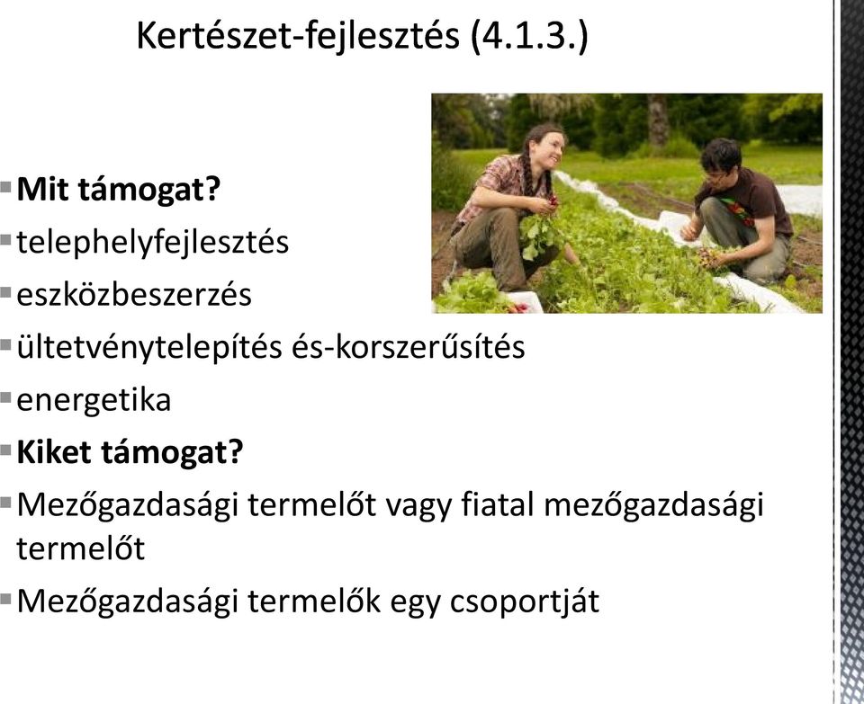 ültetvénytelepítés és-korszerűsítés energetika