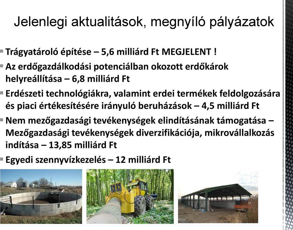 erdei termékek feldolgozására és piaci értékesítésére irányuló beruházások 4,5 milliárd Ft Nem mezőgazdasági