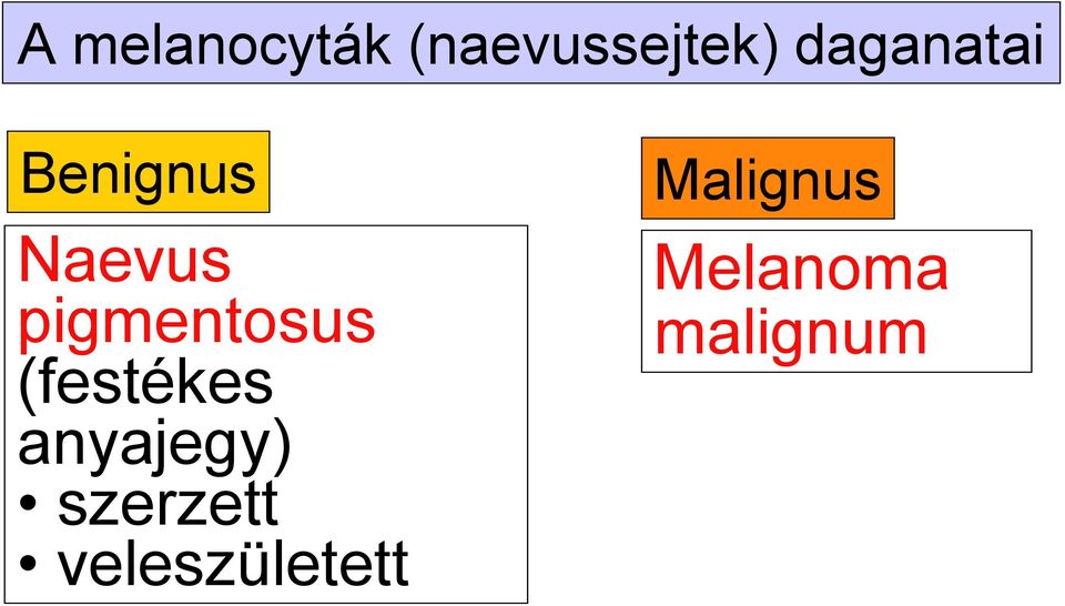 pigmentosus (festékes anyajegy)