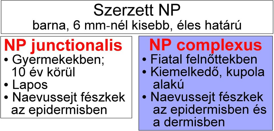 fészkek az epidermisben NP complexus Fiatal felnőttekben