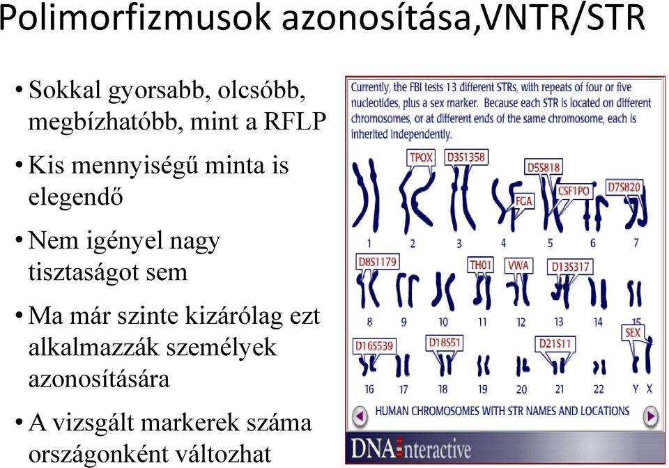 igényel nagy tisztaságot sem Ma már szinte kizárólag ezt