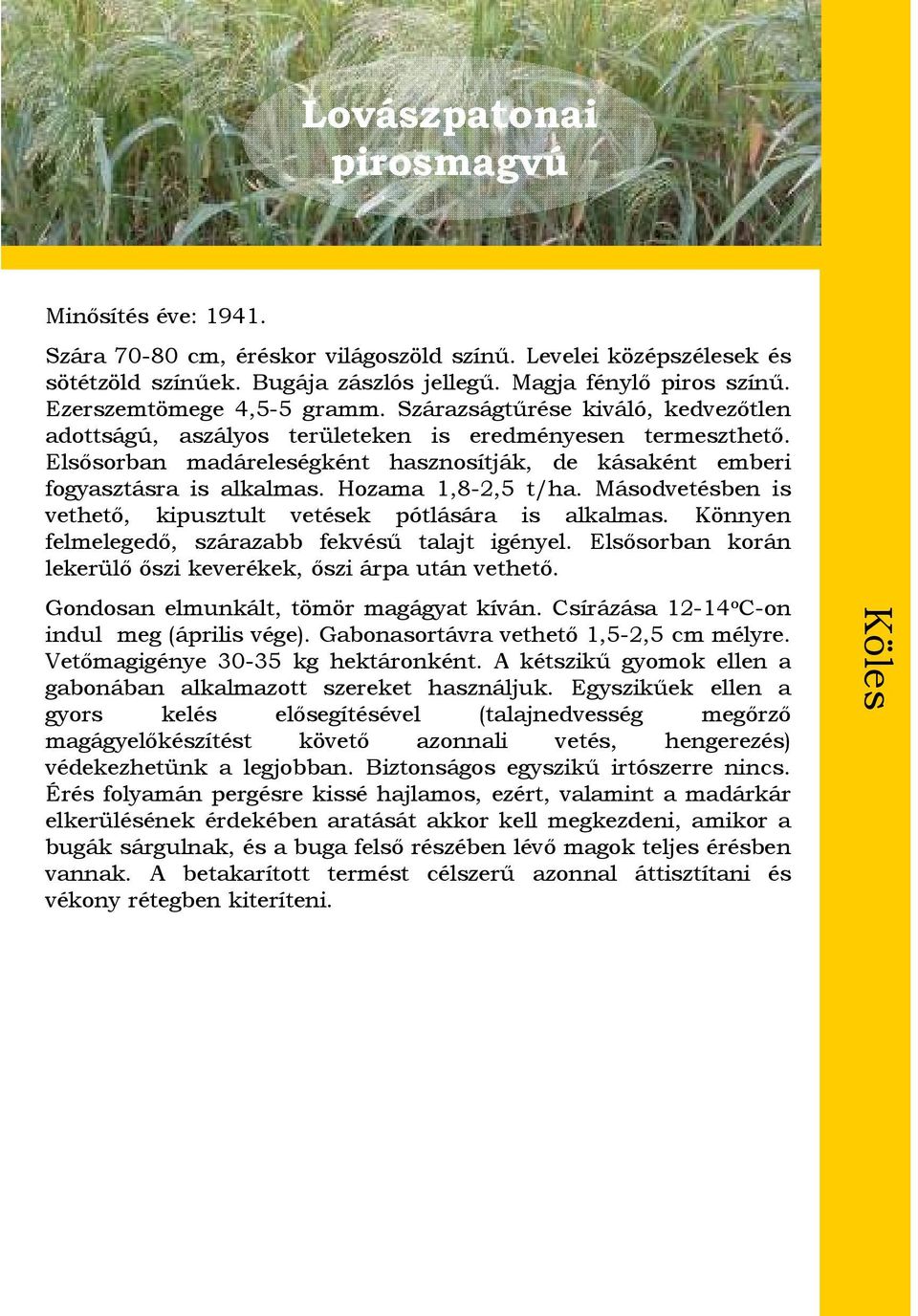 Elsősorban madáreleségként hasznosítják, de kásaként emberi fogyasztásra is alkalmas. Hozama 1,8-2,5 t/ha. Másodvetésben is vethető, kipusztult vetések pótlására is alkalmas.