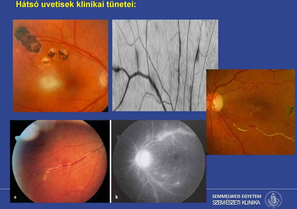 klinikai