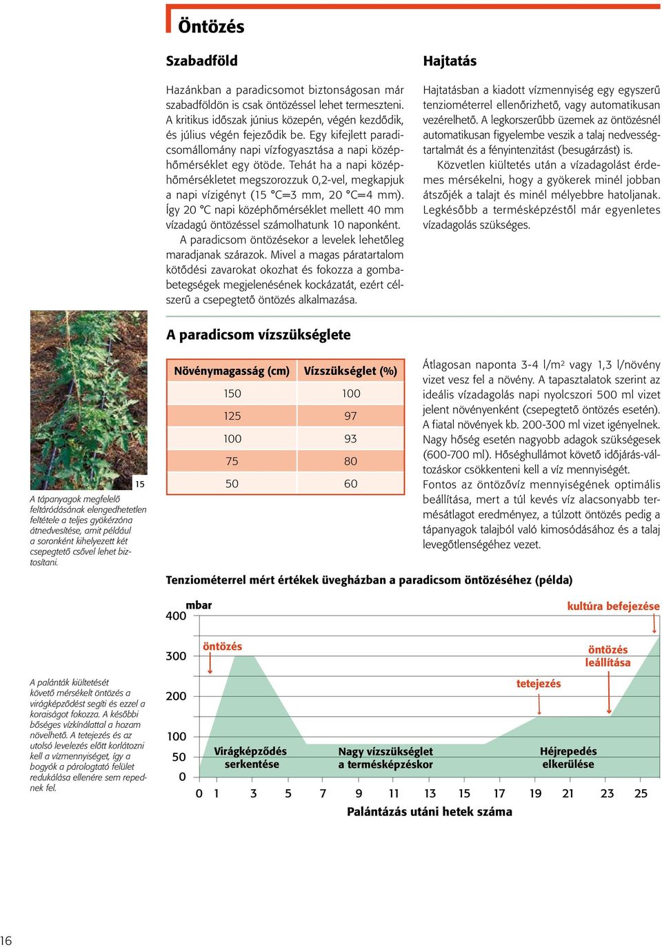 Így 20 C napi középhőmérséklet mellett 40 mm vízadagú öntözéssel számolhatunk 10 naponként. A paradicsom öntözésekor a levelek lehetőleg maradjanak szárazok.