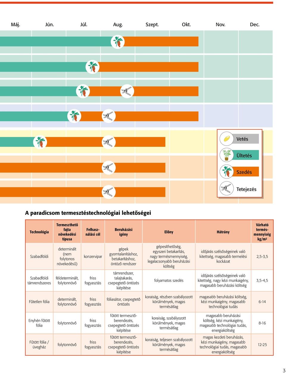 termésmennyiség kg/m² Szabadföldi determinált (nem folytonos növekedésű) konzervipar gépek gyomtalanításhoz, betakarításhoz, öntöző rendszer gépesíthetőség, egyszeri betakarítás, nagy