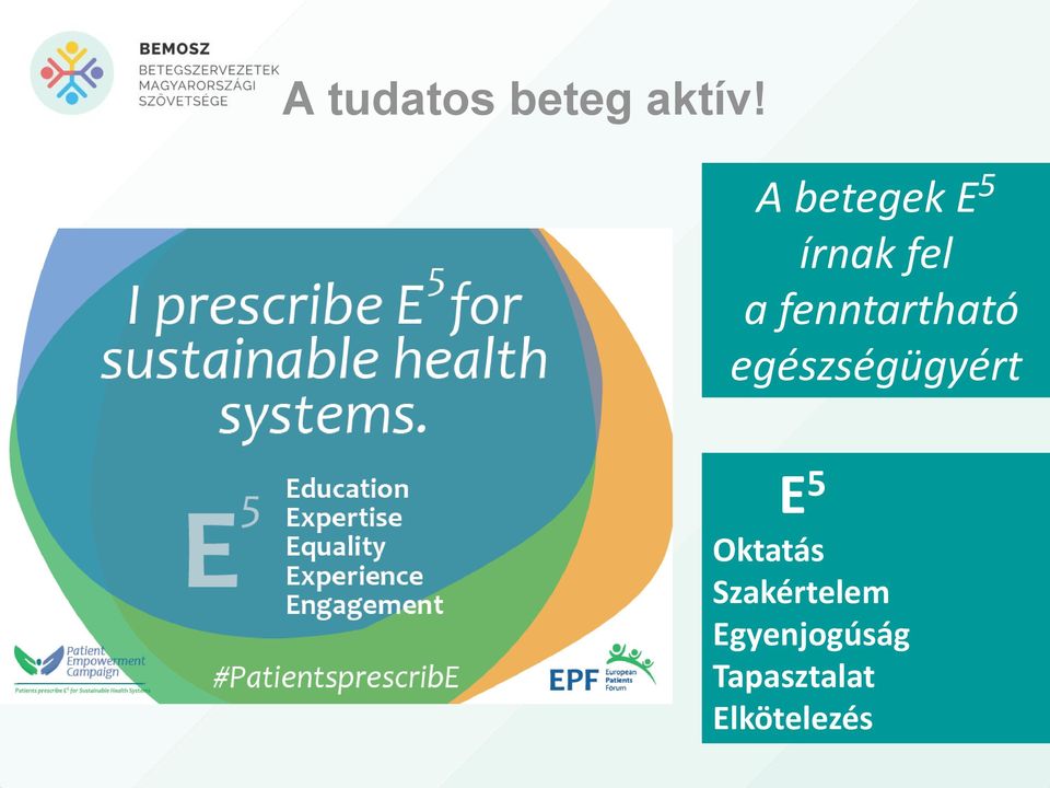 fenntartható egészségügyért E 5