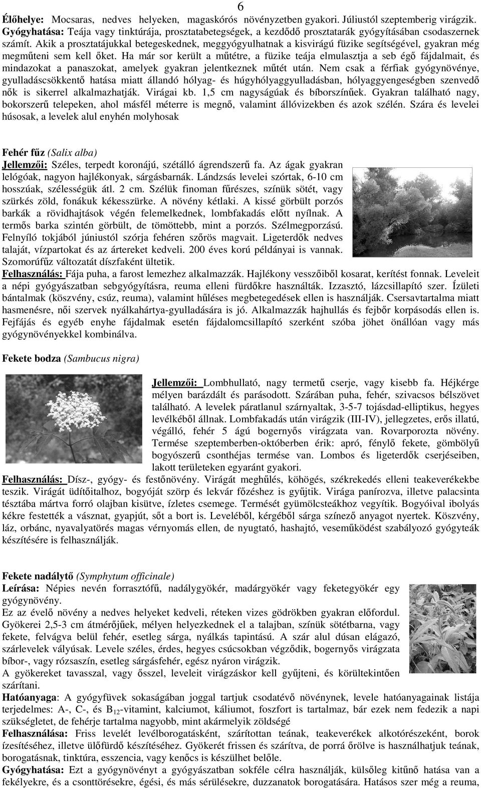 Akik a prosztatájukkal betegeskednek, meggyógyulhatnak a kisvirágú füzike segítségével, gyakran még megmteni sem kell ket.