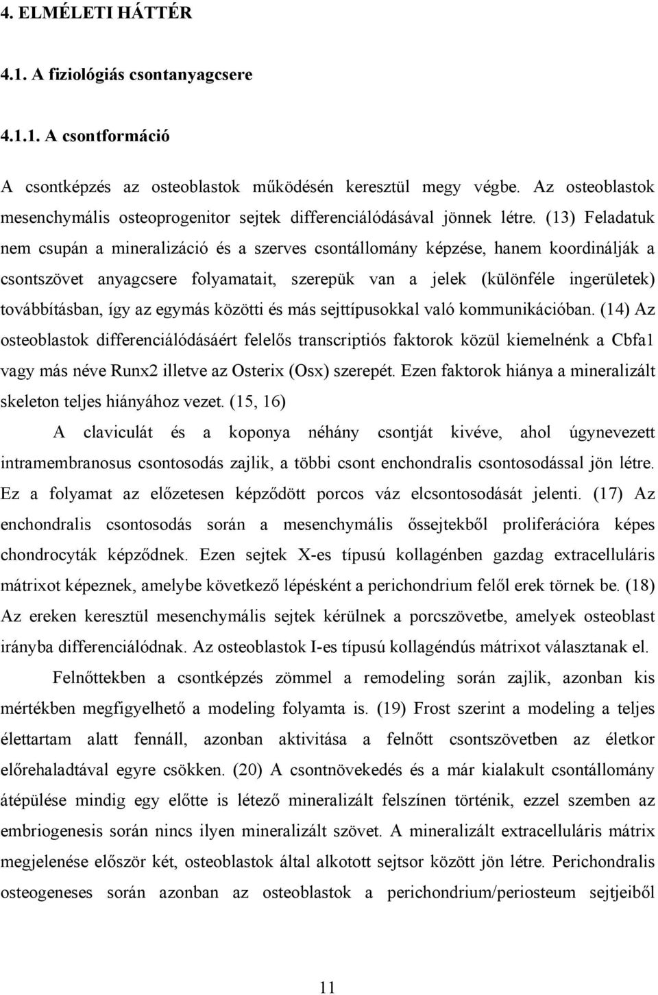 (13) Feladatuk nem csupán a mineralizáció és a szerves csontállomány képzése, hanem koordinálják a csontszövet anyagcsere folyamatait, szerepük van a jelek (különféle ingerületek) továbbításban, így