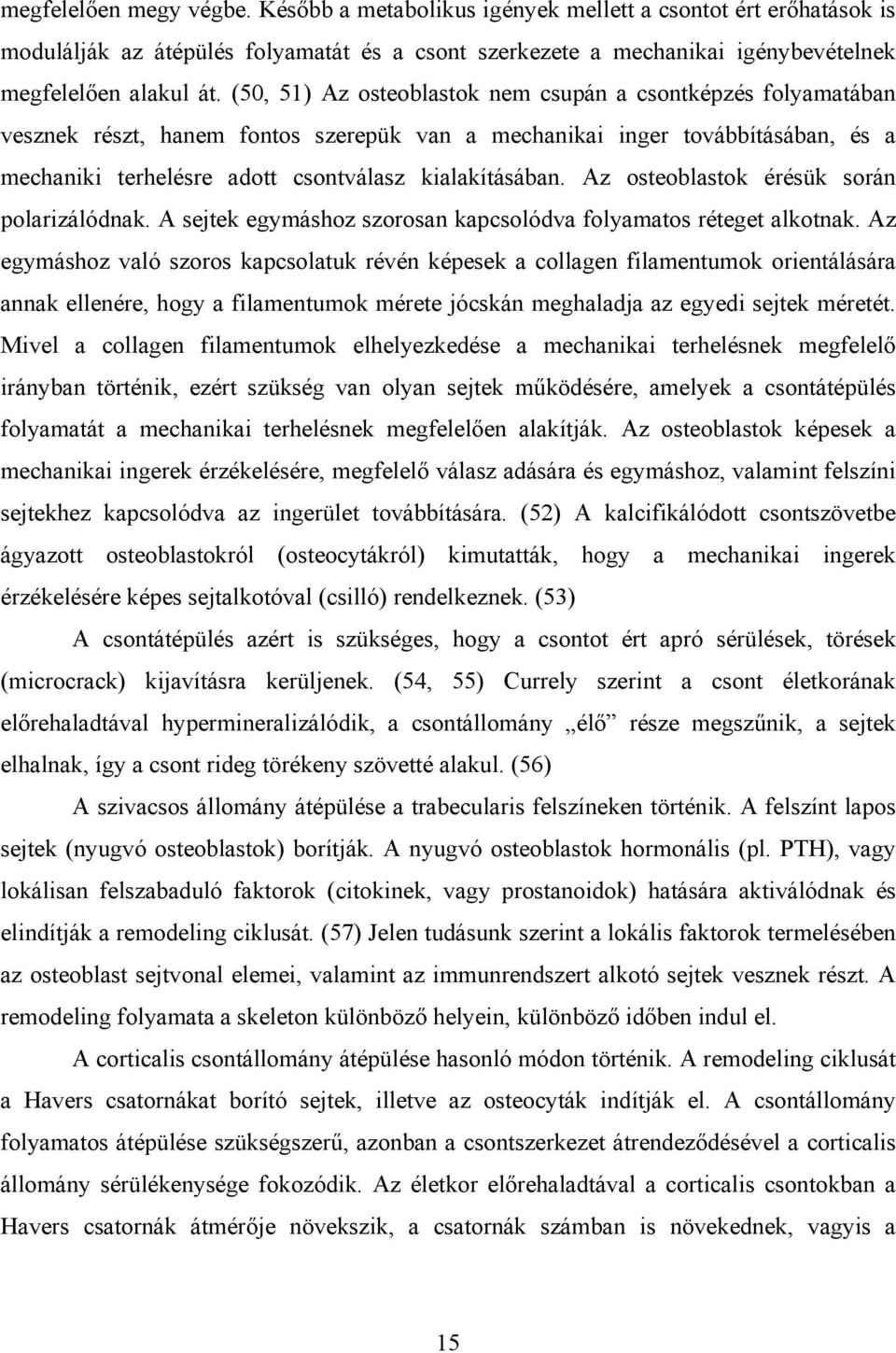 Az osteoblastok érésük során polarizálódnak. A sejtek egymáshoz szorosan kapcsolódva folyamatos réteget alkotnak.