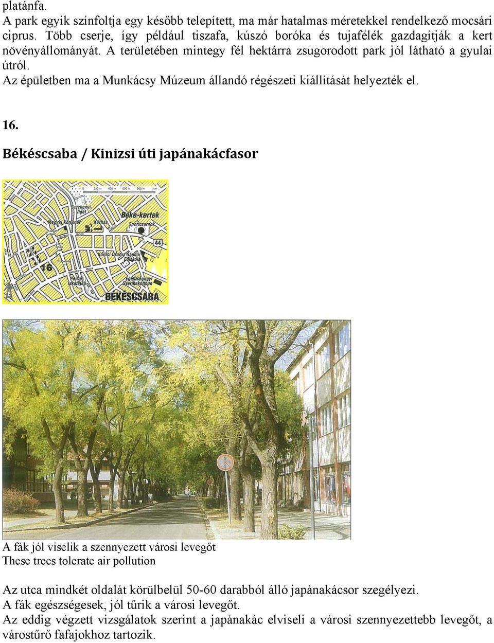 Az épületben ma a Munkácsy Múzeum állandó régészeti kiállítását helyezték el. 16.