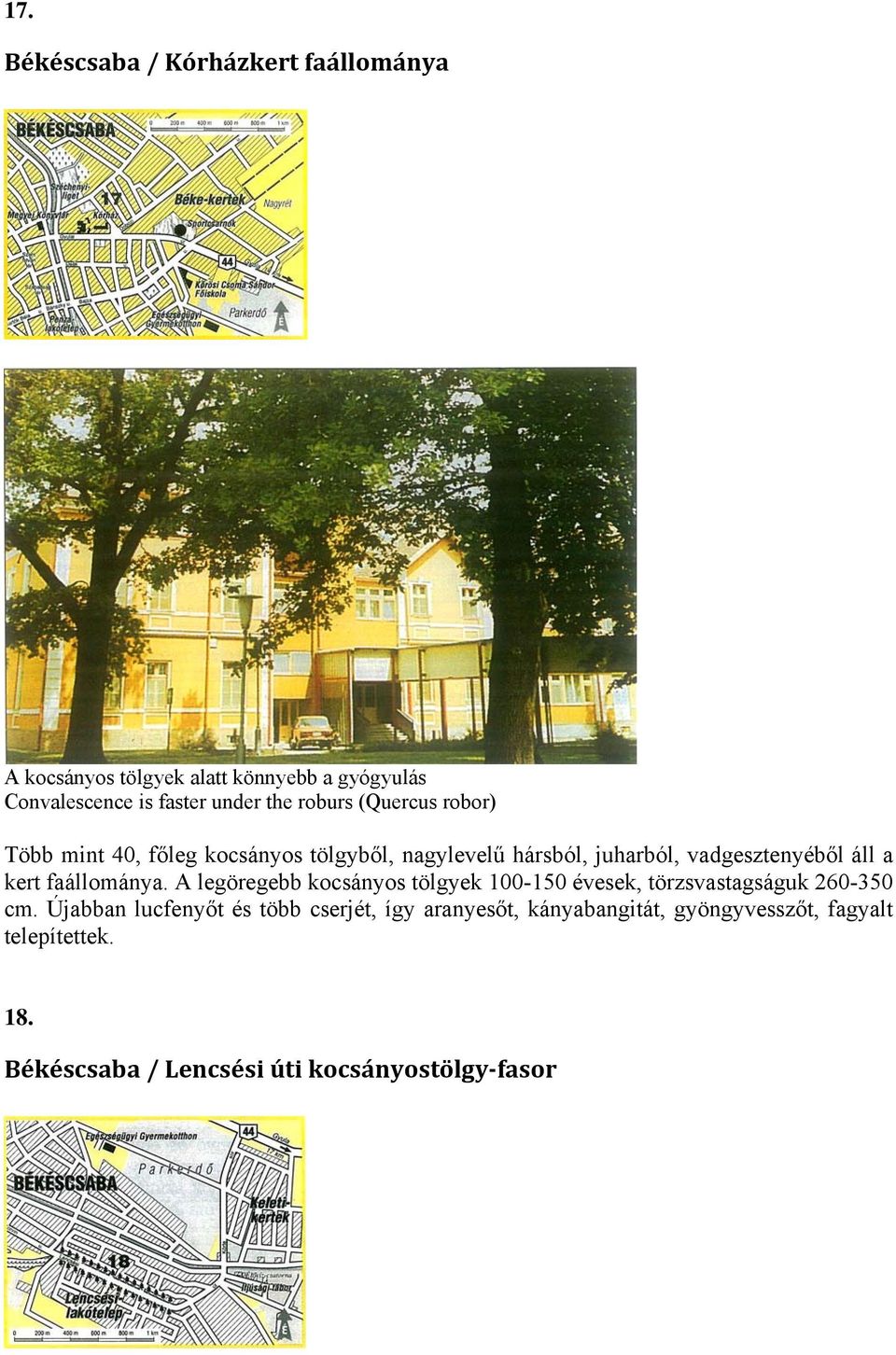 faállománya. A legöregebb kocsányos tölgyek 100-150 évesek, törzsvastagságuk 260-350 cm.