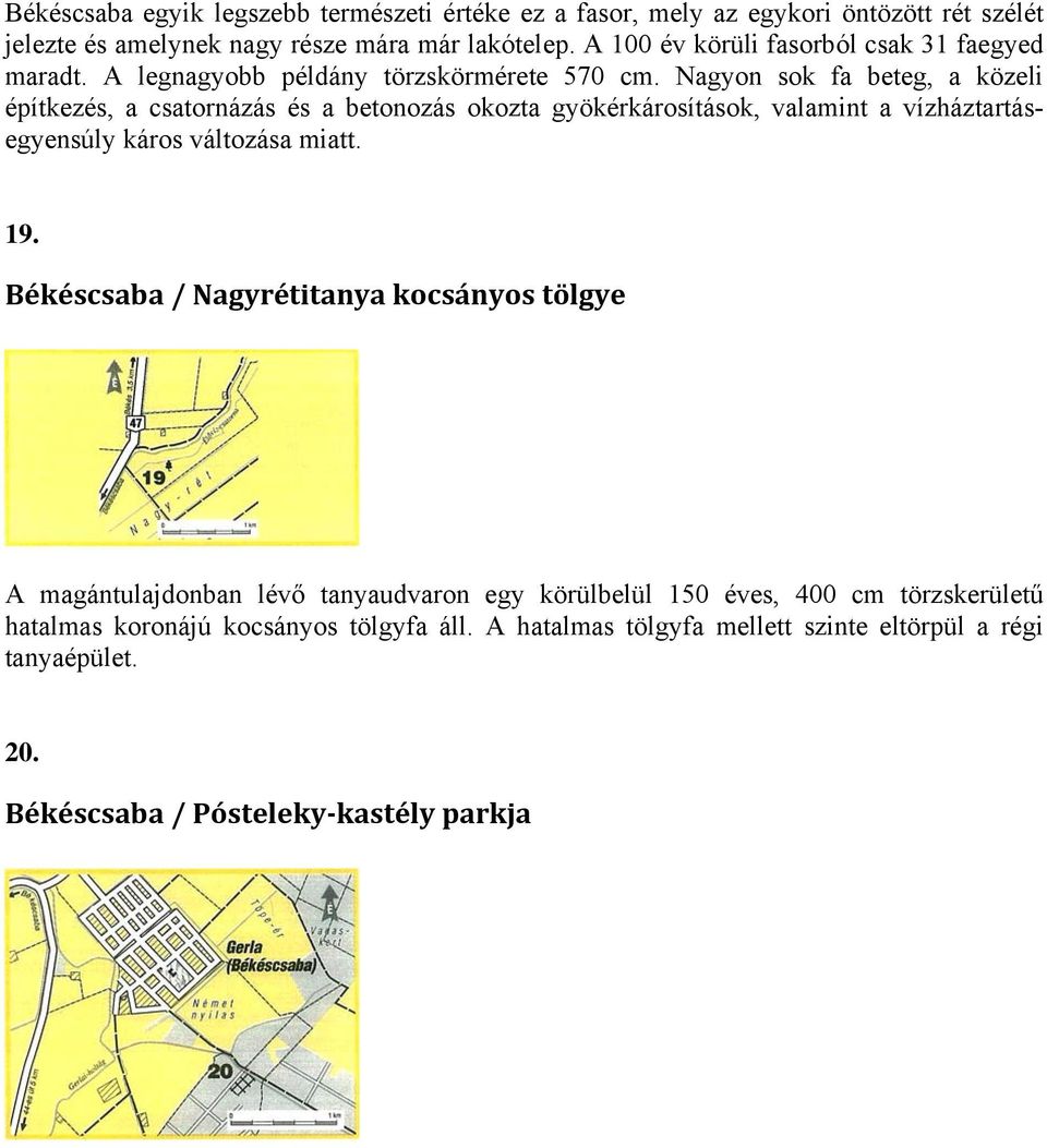 Nagyon sok fa beteg, a közeli építkezés, a csatornázás és a betonozás okozta gyökérkárosítások, valamint a vízháztartásegyensúly káros változása miatt. 19.
