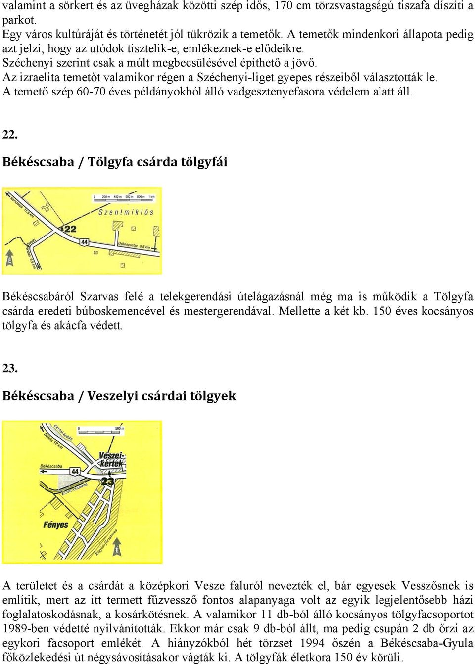Az izraelita temetőt valamikor régen a Széchenyi-liget gyepes részeiből választották le. A temető szép 60-70 éves példányokból álló vadgesztenyefasora védelem alatt áll. 22.