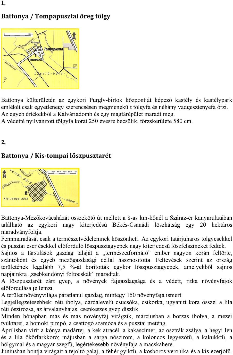 0 évesre becsülik, törzskerülete 580 cm. 2.