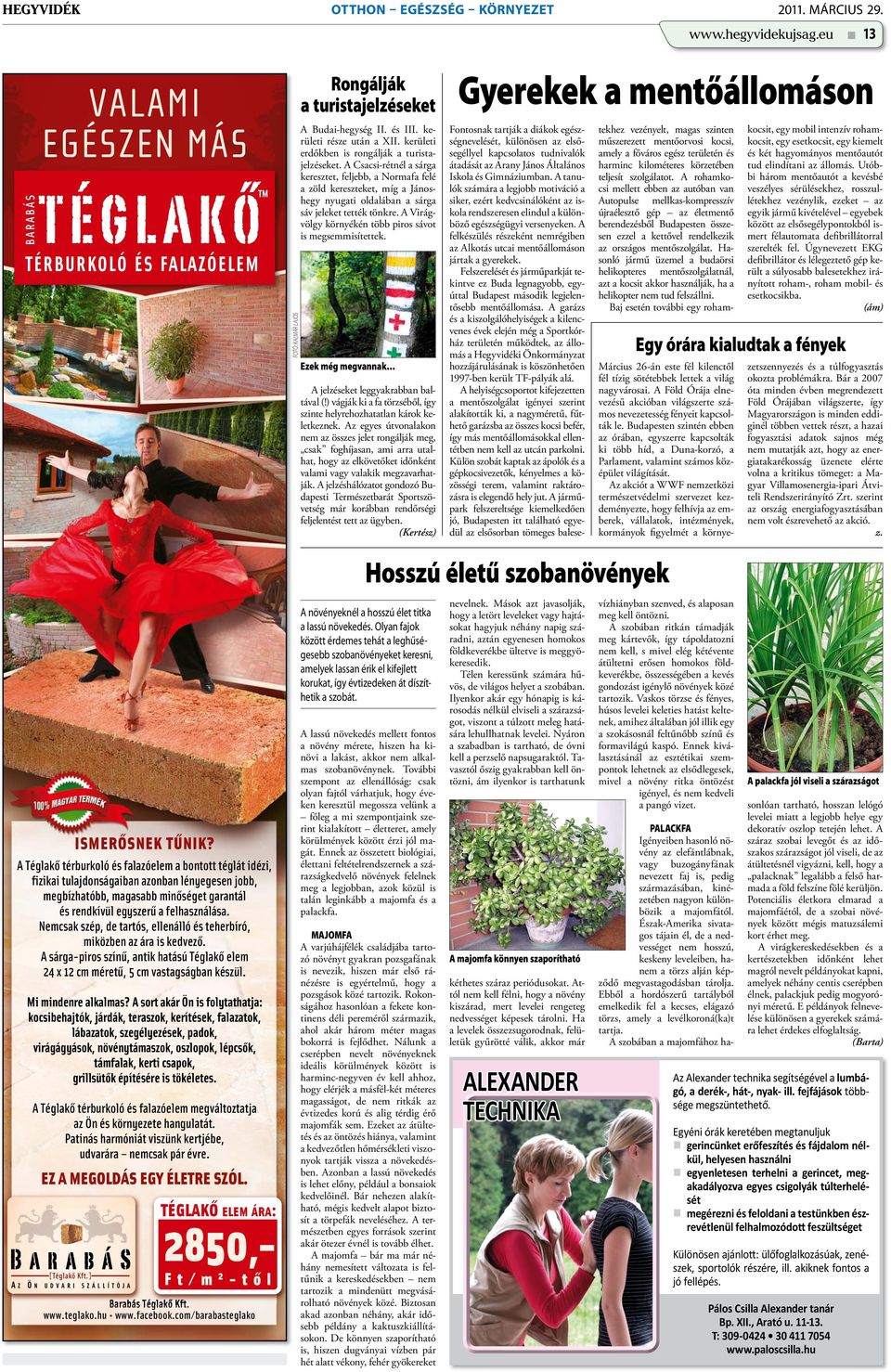 A Csacsi-rétnél a sárga keresztet, feljebb, a Normafa felé a zöld kereszteket, míg a Jánoshegy nyugati oldalában a sárga sáv jeleket tették tönkre.