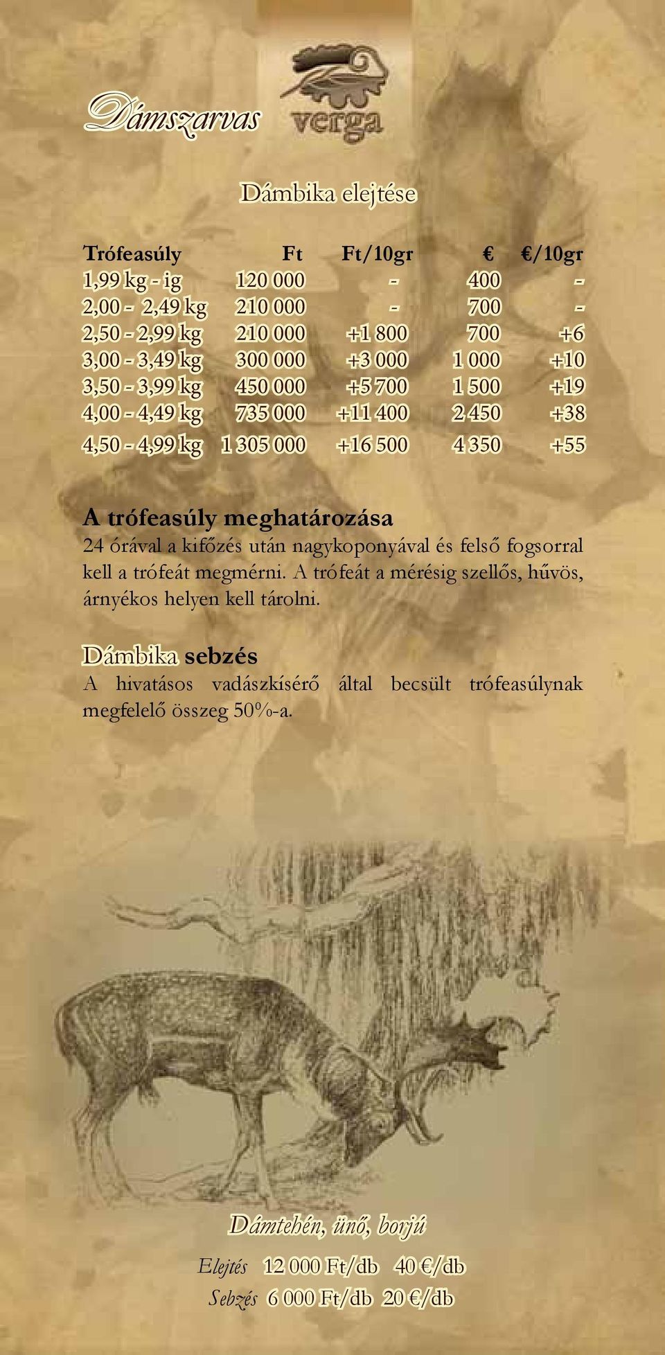 meghatározása 24 órával a kifőzés után nagykoponyával és felső fogsorral kell a trófeát megmérni.