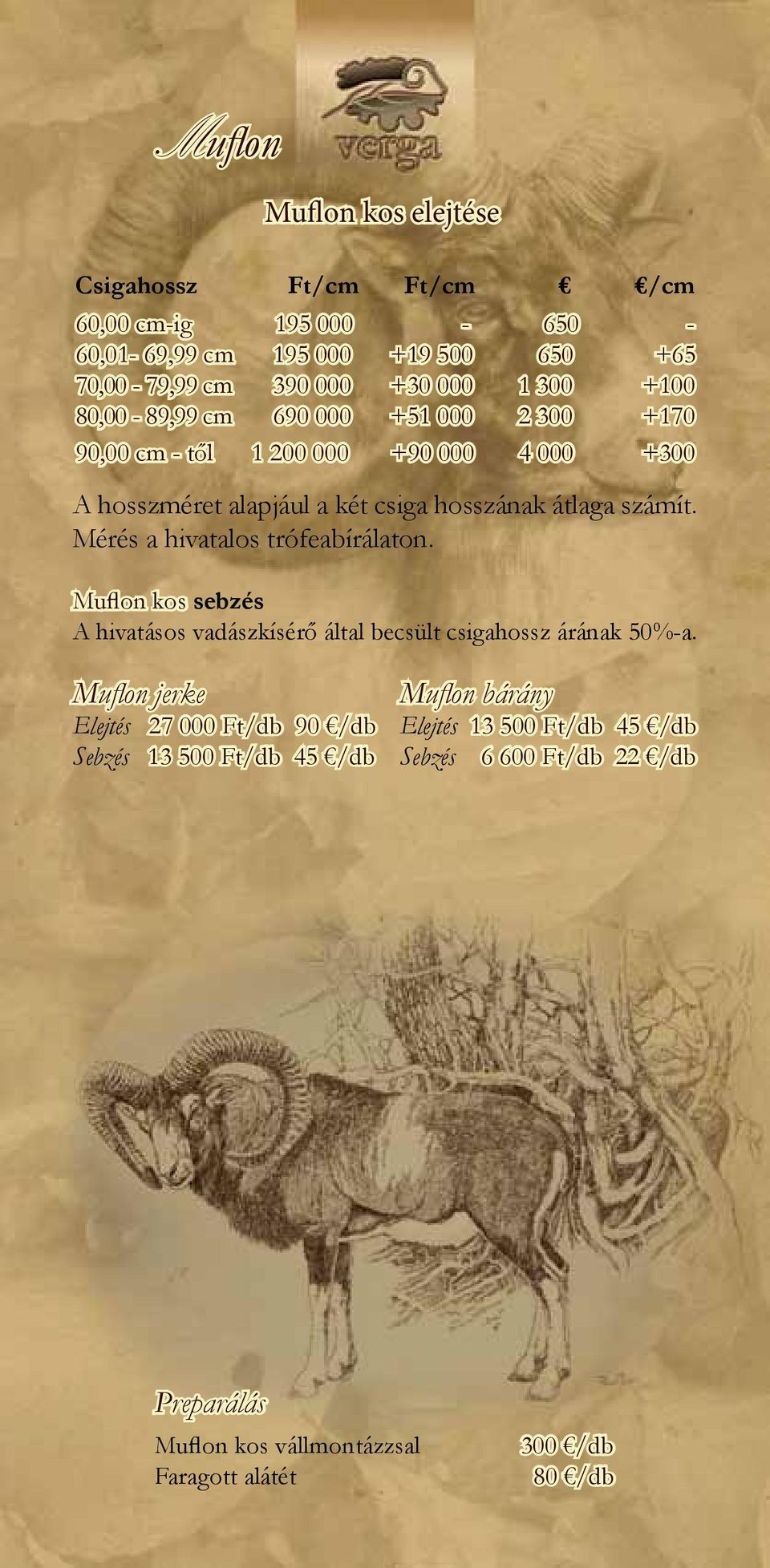 Mérés a hivatalos trófeabírálaton. Muflon kos sebzés A hivatásos vadászkísérő által becsült csigahossz árának 50%-a.