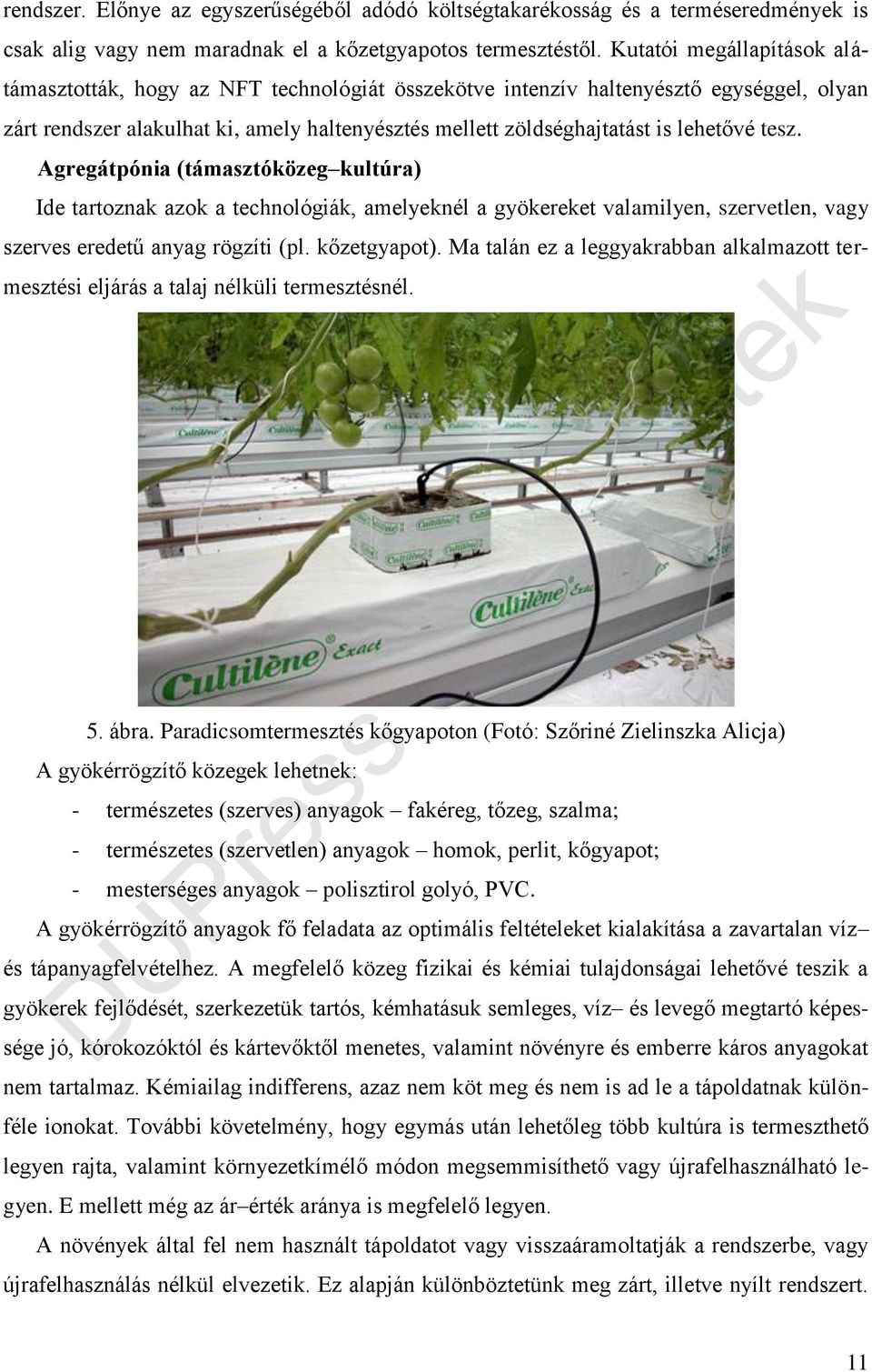 tesz. Agregátpónia (támasztóközeg kultúra) Ide tartoznak azok a technológiák, amelyeknél a gyökereket valamilyen, szervetlen, vagy szerves eredetű anyag rögzíti (pl. kőzetgyapot).