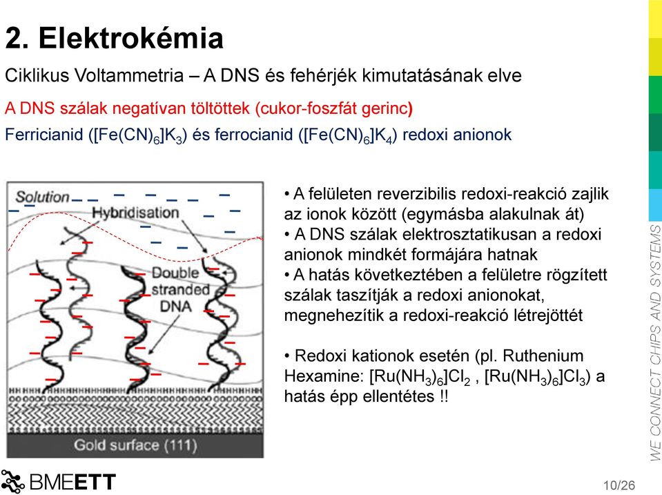 elektrosztatikusan a redoxi anionok mindkét formájára hatnak A hatás következtében a felületre rögzített szálak taszítják a redoxi anionokat,