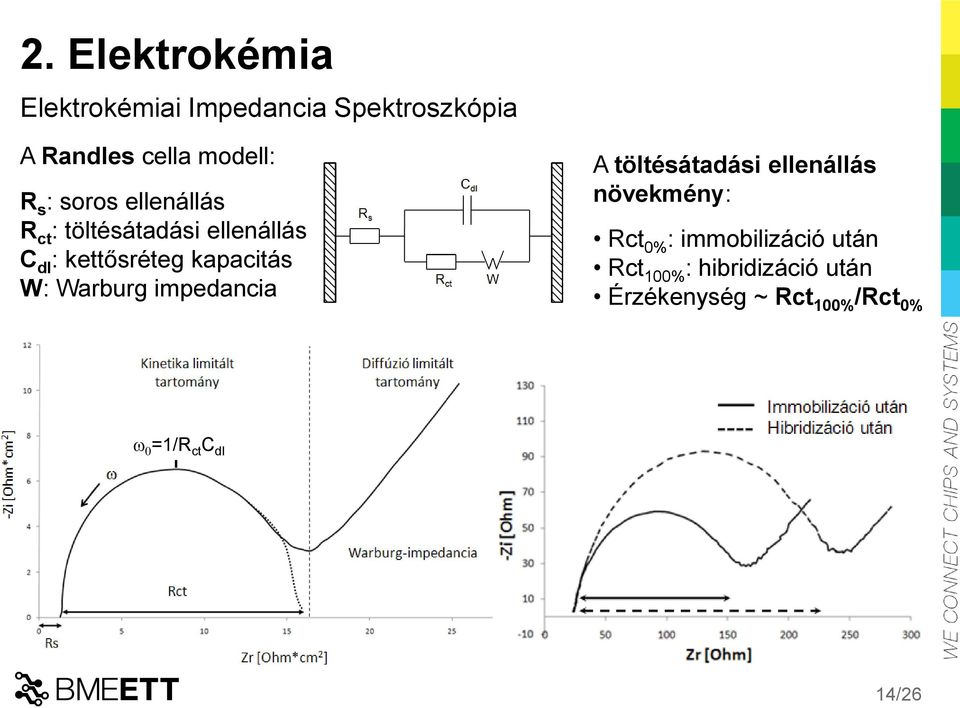 Warburg impedancia A töltésátadási ellenállás növekmény: Rct 0% : immobilizáció