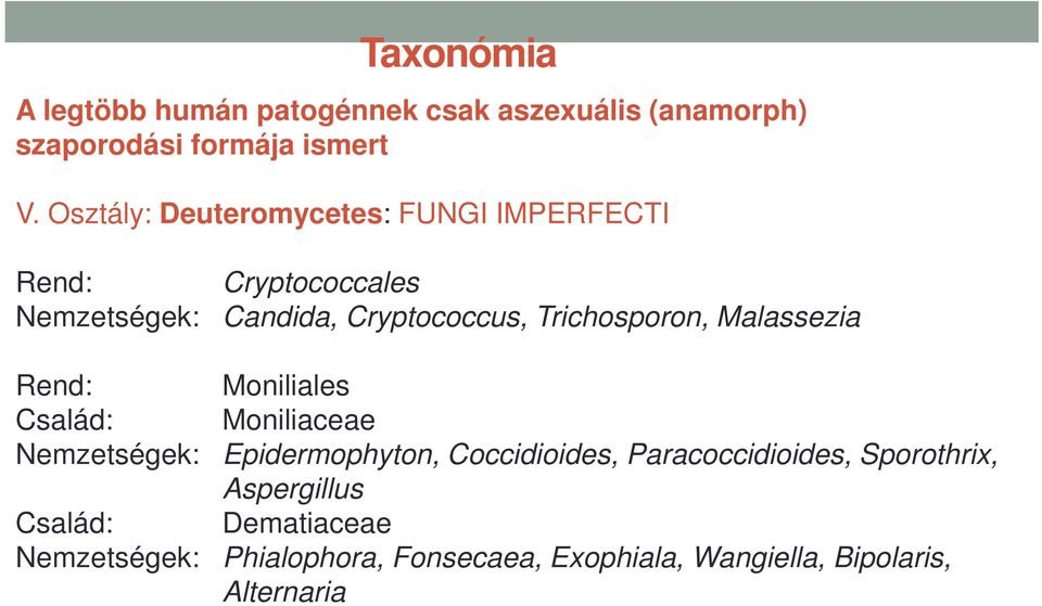 Trichosporon, Malassezia Rend: Moniliales Család: Moniliaceae Nemzetségek: Epidermophyton, Coccidioides,